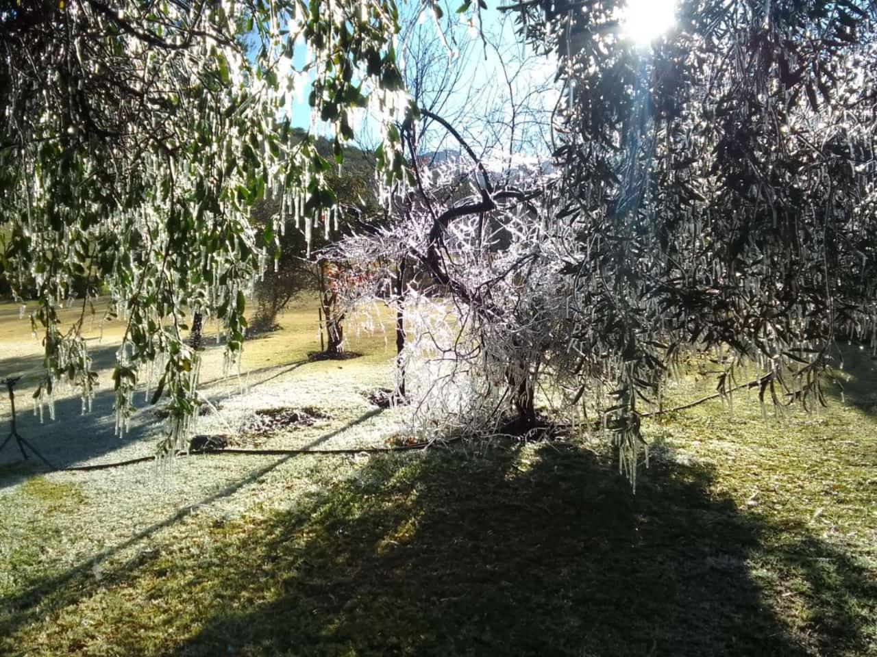 De Cango Farm Oudtshoorn Eksteriør billede